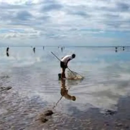 Apartman La Lagure Courseulles-sur-Mer