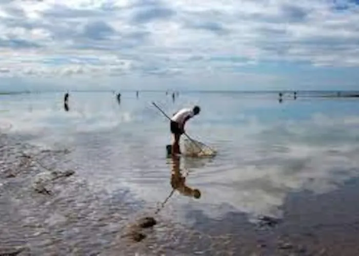 Apartman La Lagure Courseulles-sur-Mer